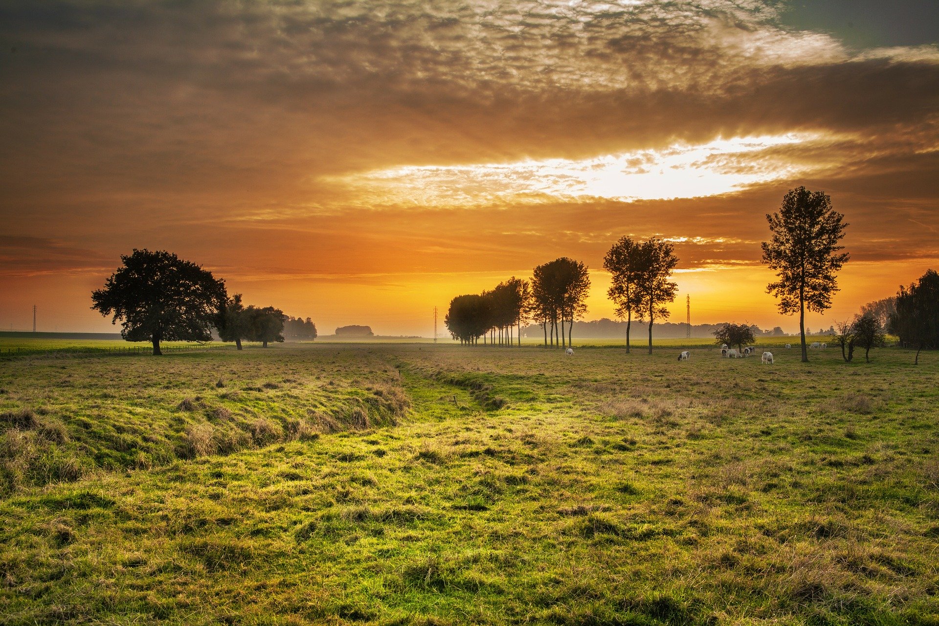 SEJOURS ADAPTES A LA CAMPAGNE VU SUR LES CHAMPS AVEC COUCHER DE SOLEIL