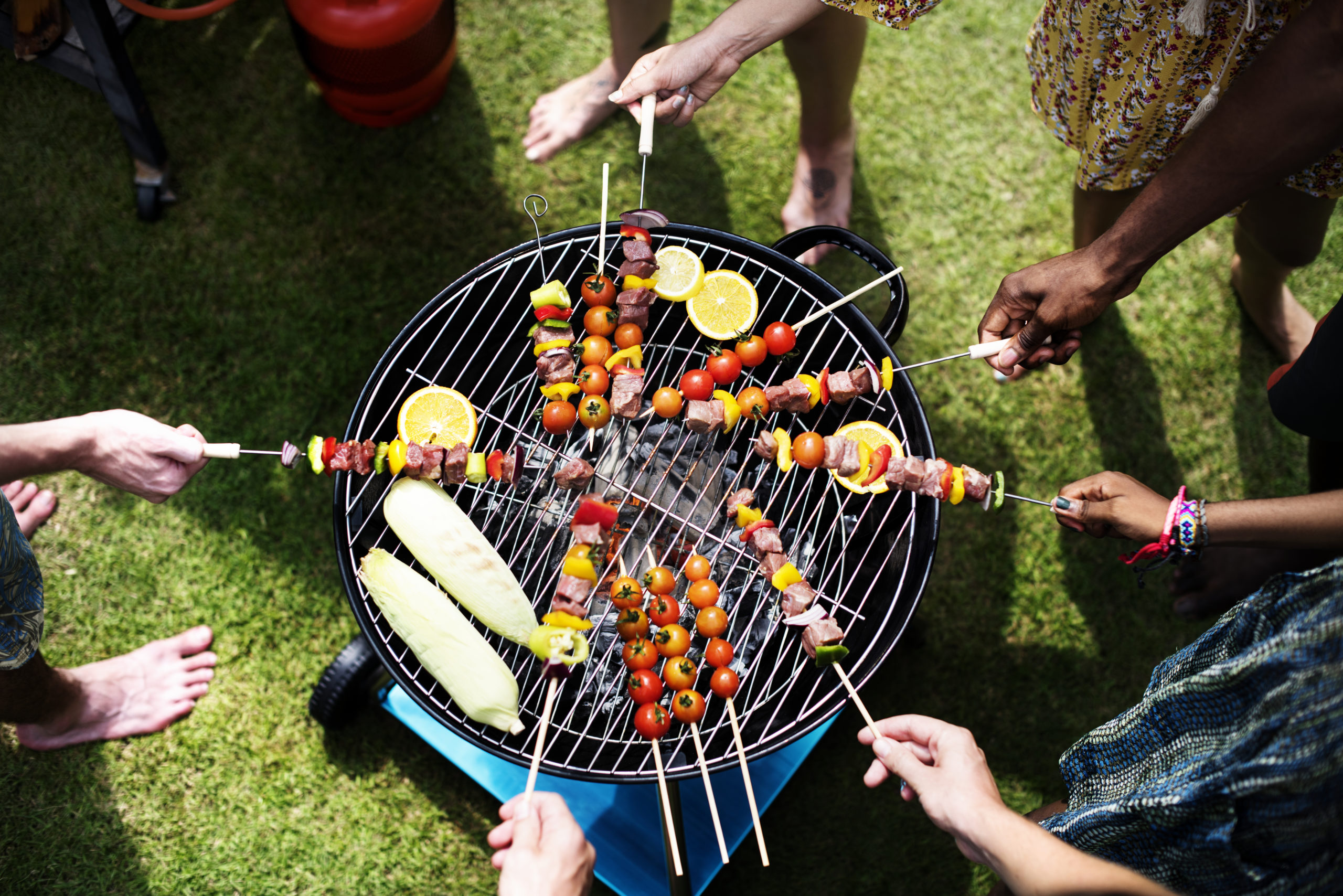 WEEKEND PENTECOTE BARBECUE PARTY GRILLADES